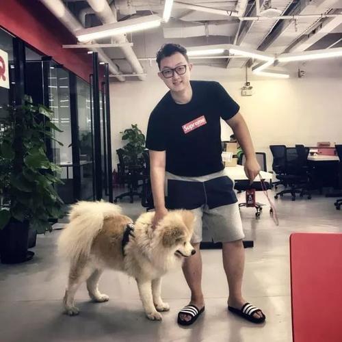 p2与阿里巴巴再度合作?